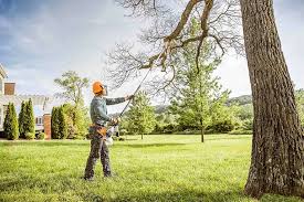 Best Tree and Shrub Care  in Chippewa Falls, WI